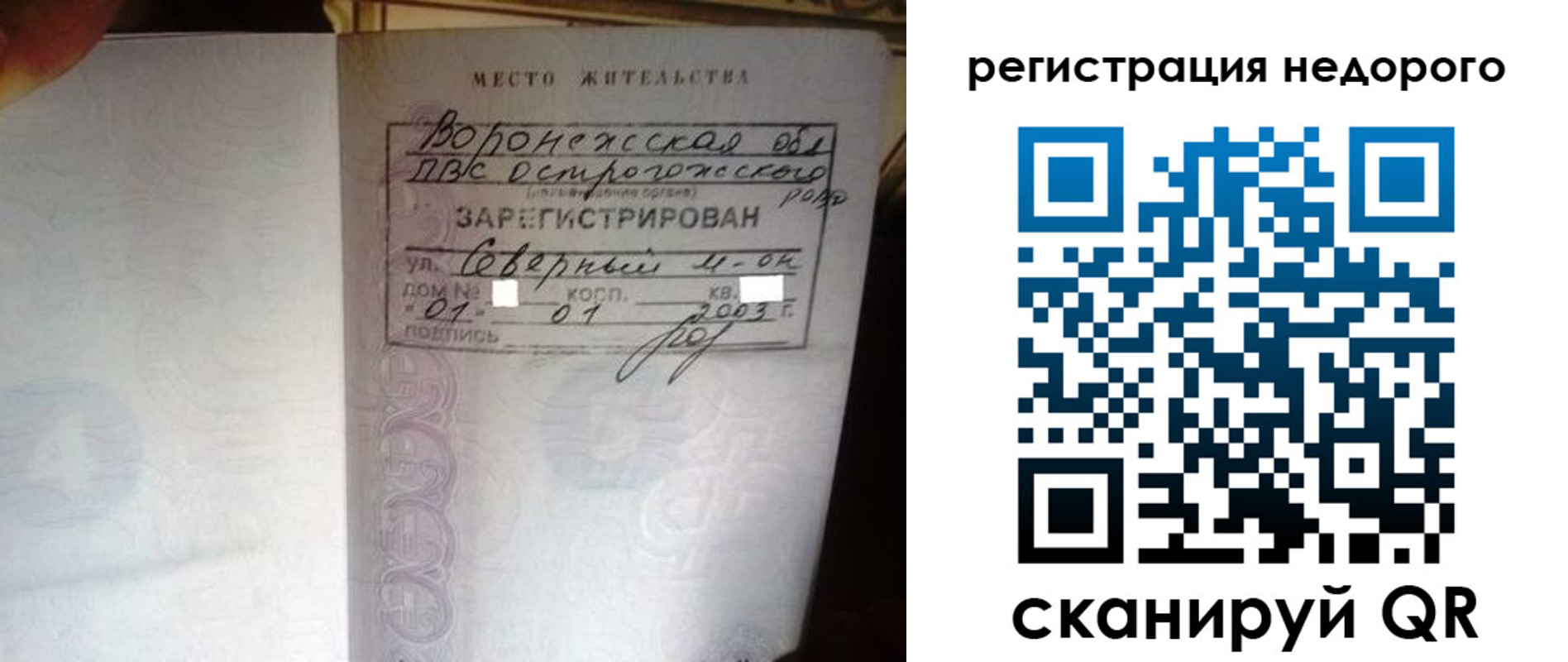 прописка для школы в Ельне