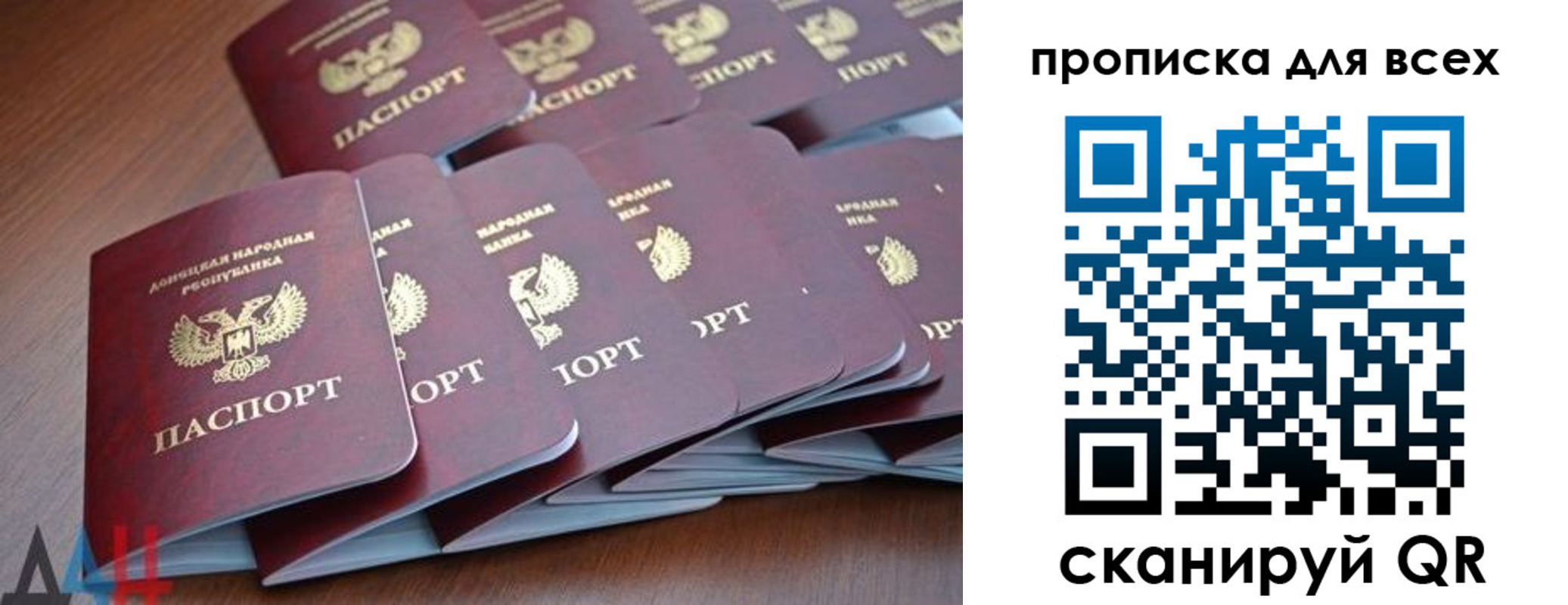 прописка в Ельне